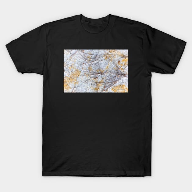 Dry and swollen earth texture T-Shirt by textural